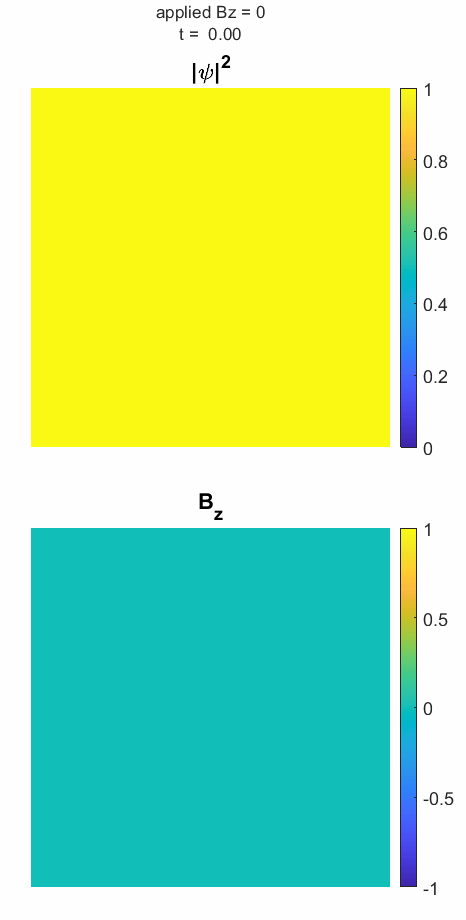 TDGL order parameter and magnetic field time evolution